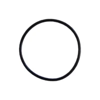 O-ring κεφαλής για φιλτροθήκη λευκή 2M 10″